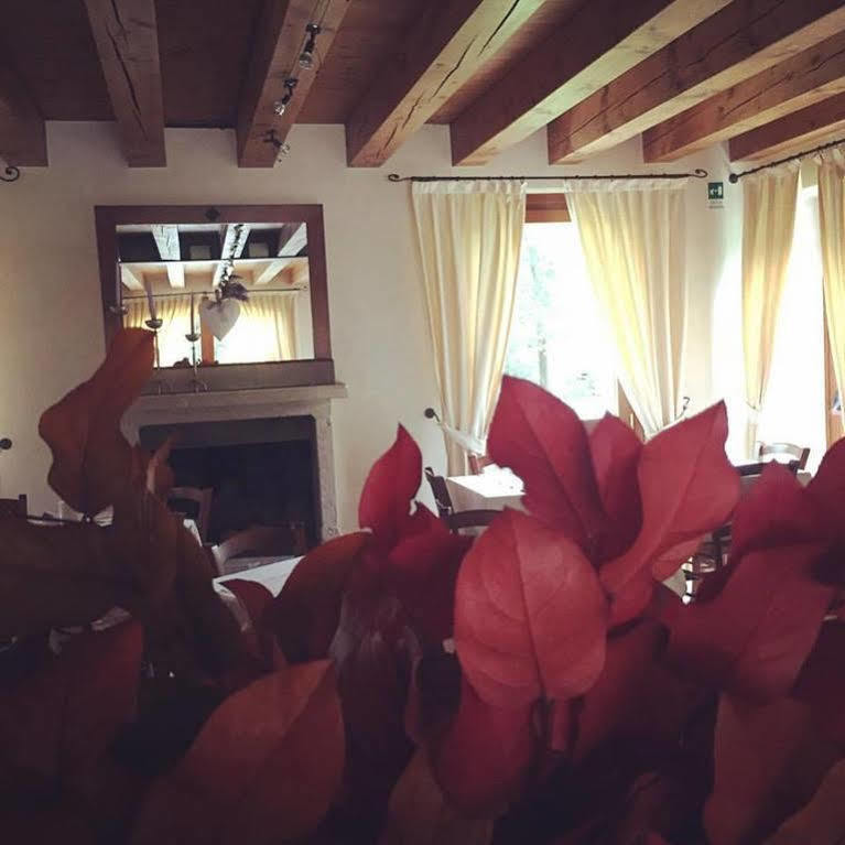 Hotel Villa Dei Carpini Oderzo Exteriér fotografie